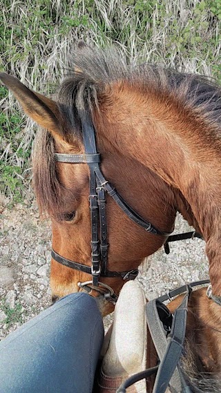 Centro Equestre Villa Mary