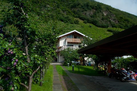 La Vita in Campagna