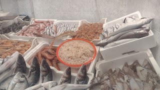 Pescheria Italia di Cardizaro Giuseppe