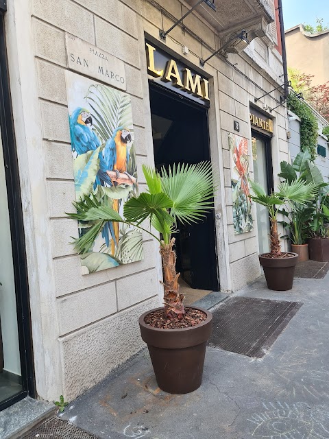 Lami Fiori Di N. Lami Milano