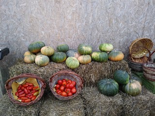 azienda agricola la fonticina