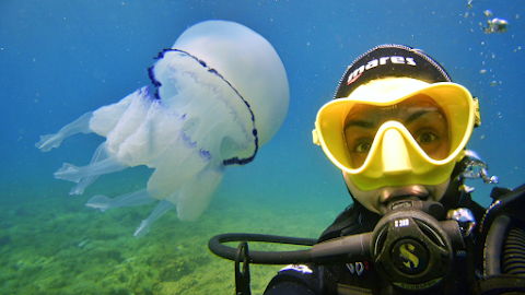 A.S.D. Corvino Diving School