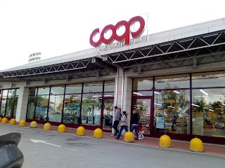 Coop