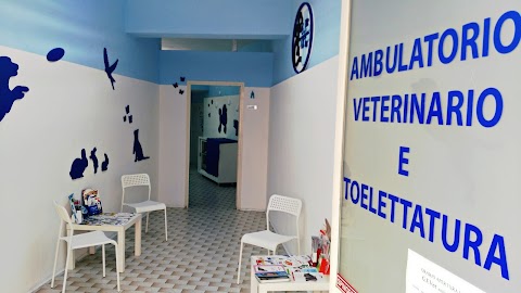 Gf Vet - Veterinario Napoli