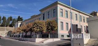 Istituto Comprensivo