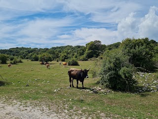 Locanda dell'Orso