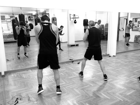 ASD PLANET FIGHTERS BOXE