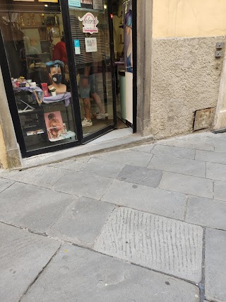 Antica Libreria Savi