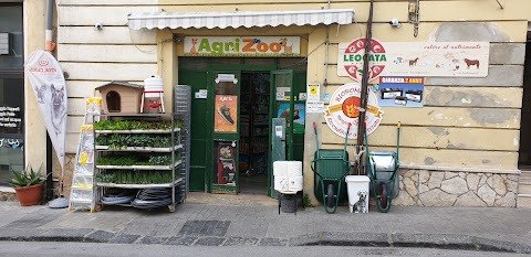 Agrizoo Di Giovanni Furnari