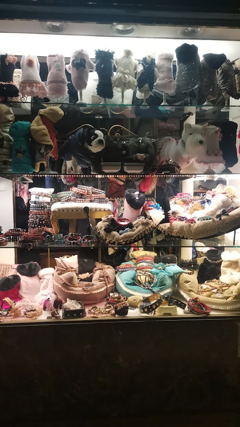 Cardin Pet Boutique Venezia