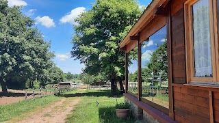 Azienda Agricola Arillà