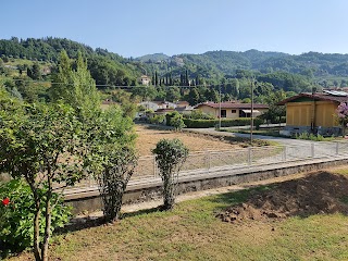 La foresta di sotto