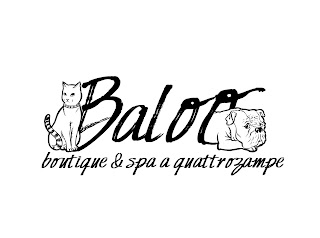 Baloo Boutique e Spa