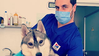 Centro Veterinario IVet Team