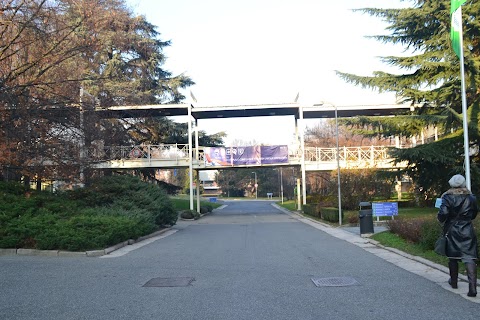 International Training Centre of the ILO