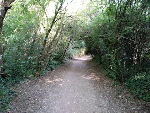 Parco Fluviale Alta Val D'Elsa