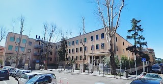 Scuola Primaria Vittorio Alfieri