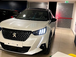 Auto P s.r.l. Concessionaria Ufficiale DR EVO Centro Riparazioni Peugeot