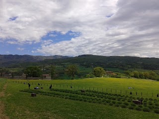 Agriturismo La Pietraia