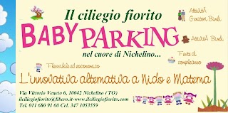 Il Ciliegio Fiorito Baby Parking Nichelino