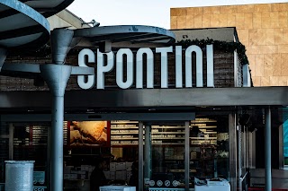 Spontini