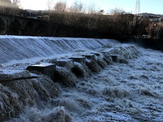 Parco Norma Barbolini