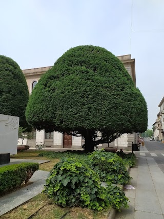 Corso Della Repubbica,2