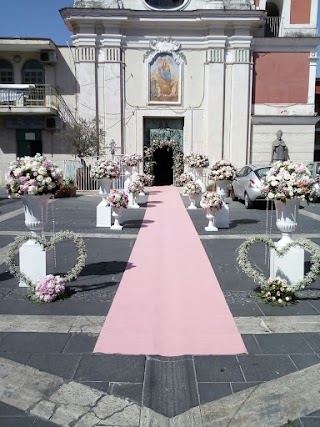 fiori e addobbi di Massa Luigi