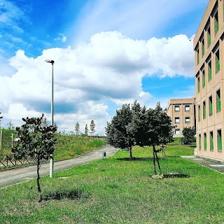 Macroarea di Ingegneria - Università di Roma Tor Vergata