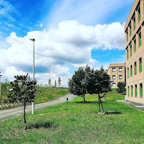 Macroarea di Ingegneria - Università di Roma Tor Vergata