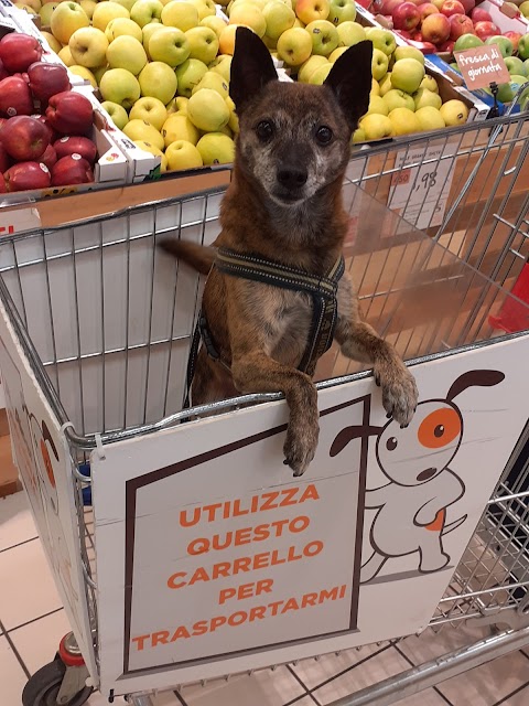 Alì supermercati - Via Calnova