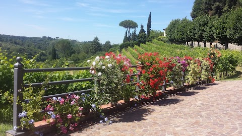 Residence Il Vigneto