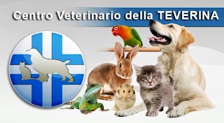 Centro Veterinario della TEVERINA