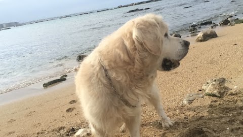 Spiaggia Libera Provolina