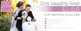 ELISA Dog Wedding Sitter