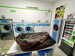 Laundry4pets Cavezzo