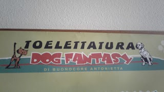 Toelettatura Cani E Gatti - Dog Fantasy