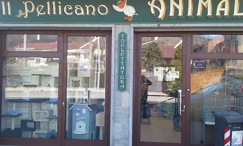 Il Pellicano