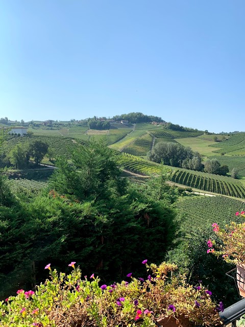 ItaliAnna - Piedmont Travel Guide | Barolo Wine Tours