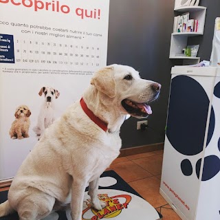 Pet's Planet Roma Testaccio