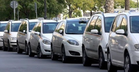 Taxi Allegri Fabrizio