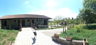 Cascina di Sotto