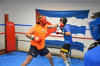 A.S.D. Cuba Boxe Club