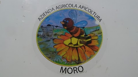 Apicoltura Az. Agr. Moro di Moro Maurizio