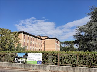 Stregatto Scuola d'infanzia