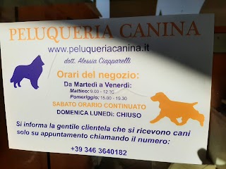 Peluqueria Canina