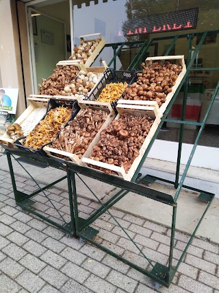 Lionello Loris Funghi Di Bosco