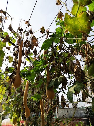 Il Filo d'Erba - Alloggio con giardino