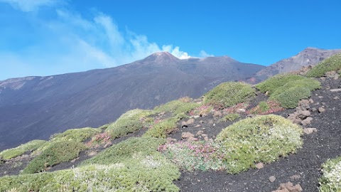 Baita nei boschi del Parco dell'Etna