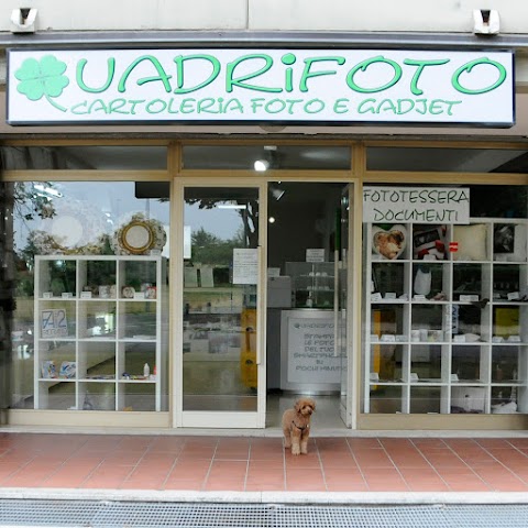 Quadrifoto